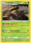 Ludicolo from PHANTASMAL FLAMES 2025