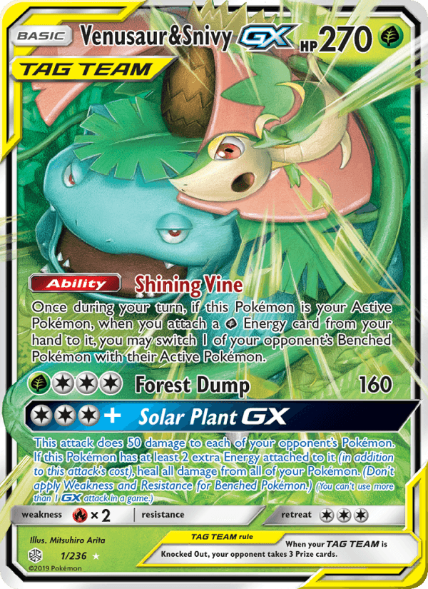 Venusaur & Snivy GX from REMIX BOUT 2019