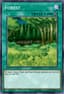 Forest from LEGEND OF BLUE EYES REPRINT 2019
